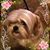 Tammy S. Johnston's profile image