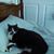 Carol Whipple's profile image