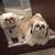 Paula Walker Smith's profile image