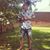 Shana Hilliard's profile image