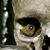Brian Oleska's profile image