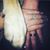 Meesh Rene's profile image