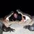 David Grisham's profile image