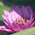 Debbie Ann Holten's profile image
