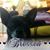 Bonnie Silvey's profile image