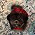 Myra Michel's profile image