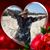 Glenda Flowers's profile image