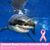 Diane K. Bernal-Dillon's profile image