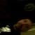 Ricky Montes's profile image