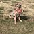 Tammy Bartlett Krueger's profile image