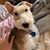 Laurie Savaren's profile image