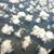 Alicia Le Marie's profile image