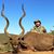 Brett Carden's profile image