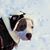 Robyn Smith-Demeuse's profile image