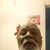 Earl Thomas Kenneth Edwards's profile image
