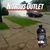Jose Avalos Jr.'s profile image