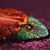 Cheryl Swanson Gould's profile image