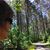 Judy Yeager Robinson's profile image