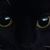 Johnna Garosi-Wampler's profile image