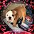 Cheryl Mccracken's profile image