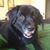 Nicole Gosnell's profile image