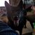 Lyn Hamlett's profile image
