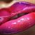 Laura Campagna's profile image