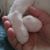 Caroline Pedigo Mizzell's profile image