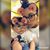 Laura Rubio's profile image