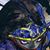 Chris Bus's profile image