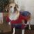 Gary Heinen's profile image