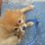 Sandra Wren-Carroll's profile image