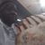 Richard Owens's profile image