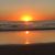 Linda Boyle's profile image