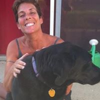 Dana Solov Boekesch's profile image