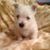 Lynnette Conner's profile image