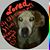 Alisha Mae Dukes White's profile image