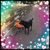 Mary Rosser's profile image