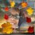April Wilson's profile image