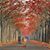 Jassim Nouri's profile image
