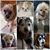Randi N Ralph Rivera's profile image
