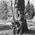 Rem N Tiffany Harrell's profile image