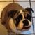 Pam Barni's profile image