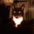 Jerri Ray's profile image