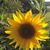 Ruth Baldry's profile image