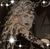 Fern Berkley-Parrington's profile image