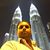 Sheikh Bilal Tahir's profile image