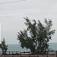 Francesca Landi Diaz's profile image