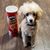 Joanie McLin Buchanan's profile image