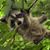 Alexandrea Weis's profile image